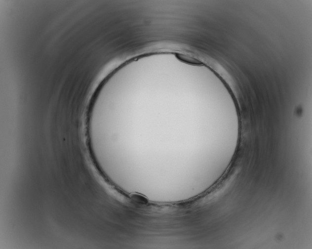 X0000100410997200807032033
