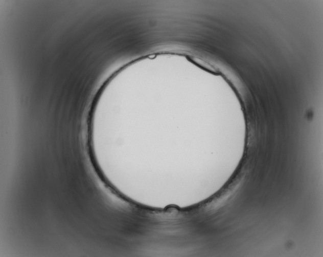 X0000100410999200807032033