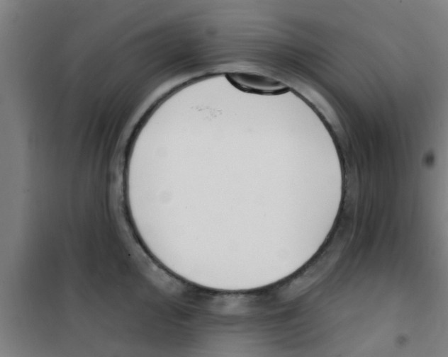 X0000100411000200807032033