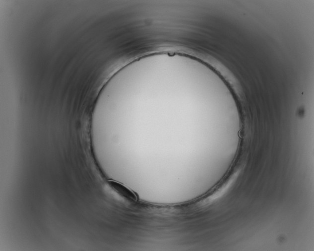 X0000100411001200807032033