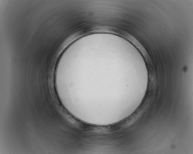 X0000100411002200807032033