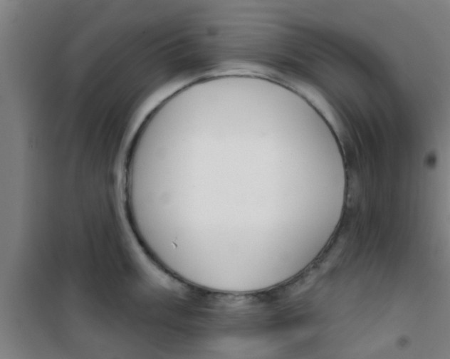 X0000100411003200807032033