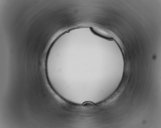 X0000100411005200807032033