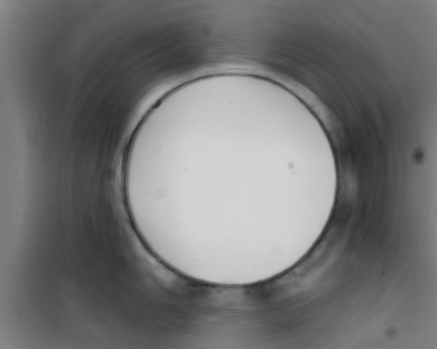 X0000100411006200807032033