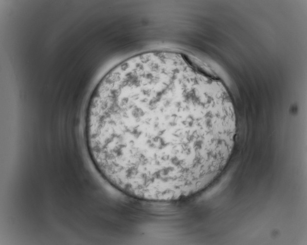 X0000100411007200807032033