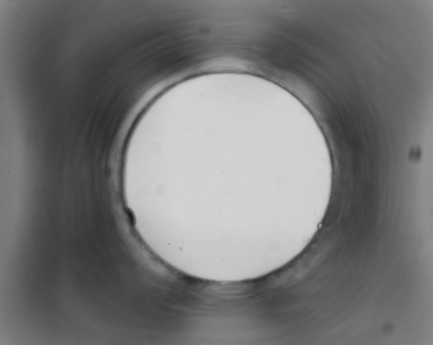 X0000100411008200807032033