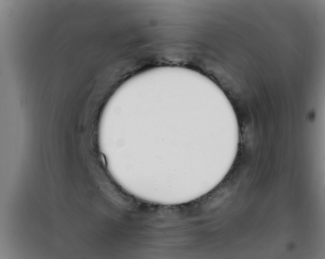 X0000100411009200807032032