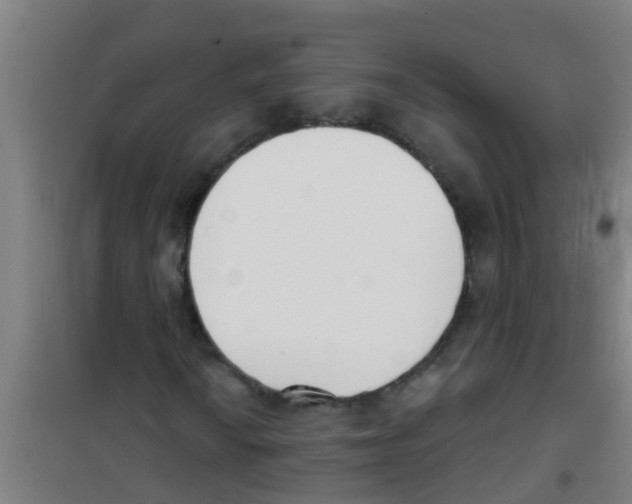 X0000100411010200807032032