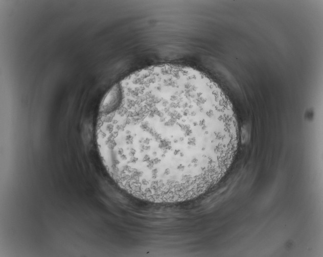 X0000100411011200807032032