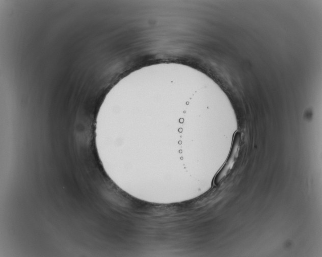 X0000100411012200807032032