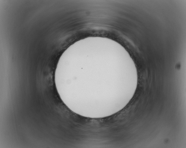 X0000100411013200807032032
