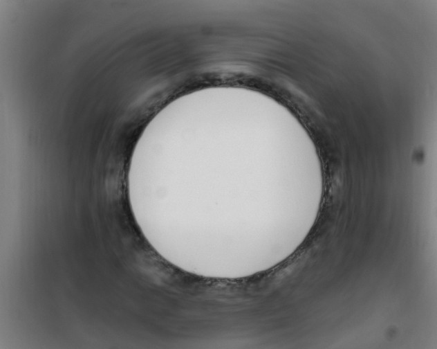 X0000100411014200807032032