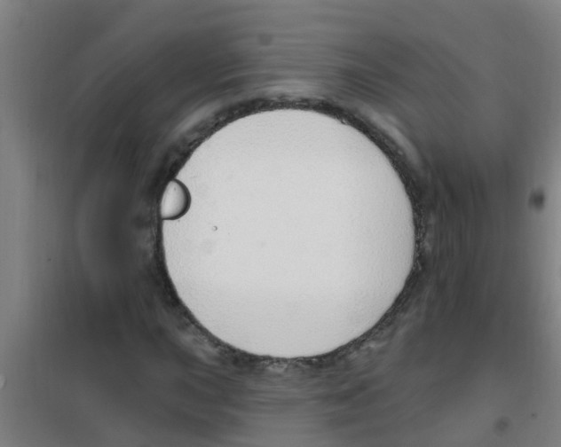 X0000100411015200807032032