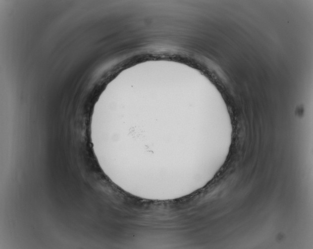 X0000100411016200807032032