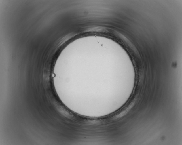 X0000100411017200807032032