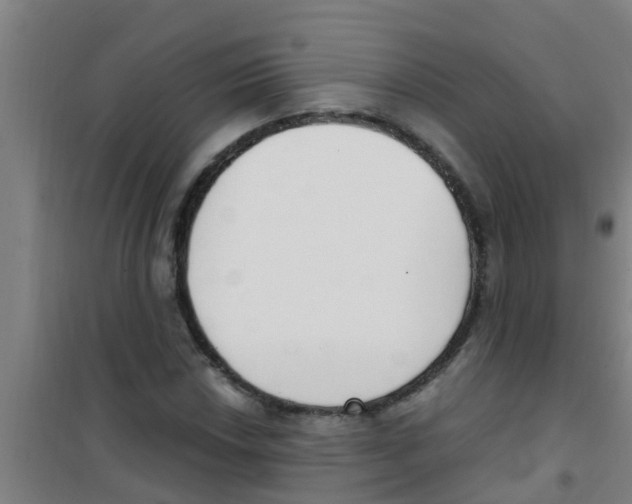 X0000100411018200807032032