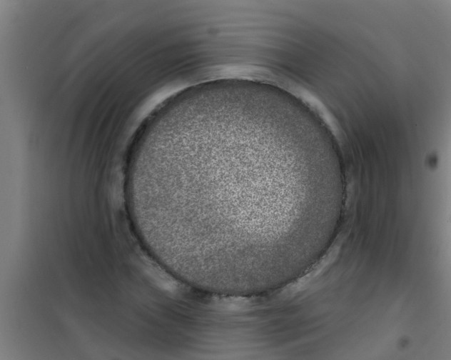 X0000100411019200807032032