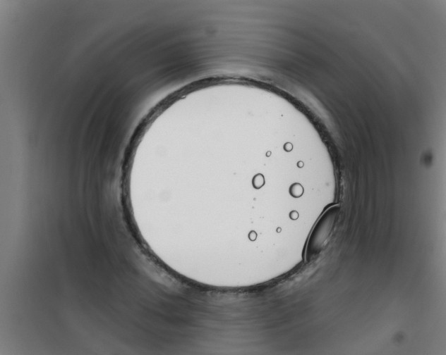X0000100411020200807032032
