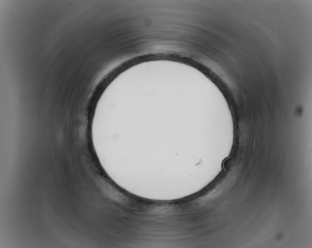 X0000100411021200807032032