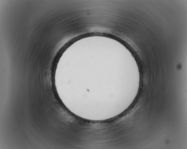 X0000100411022200807032032