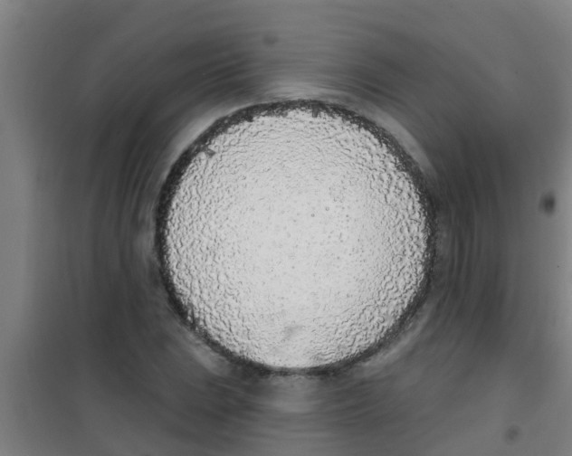 X0000100411023200807032032