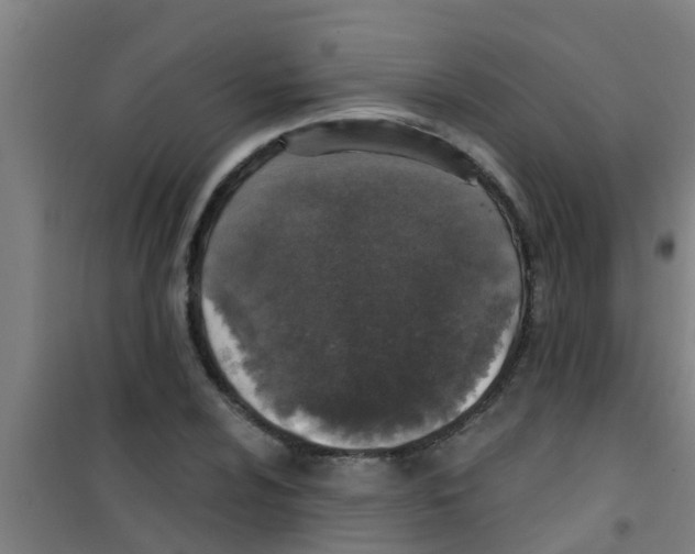 X0000100411024200807032032