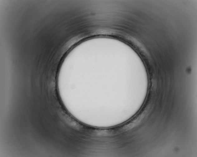 X0000100411025200807032032