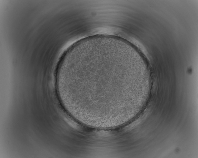 X0000100411027200807032033