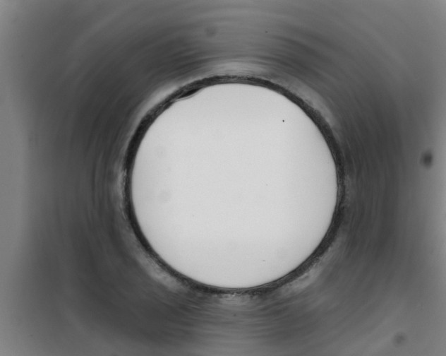 X0000100411029200807032033