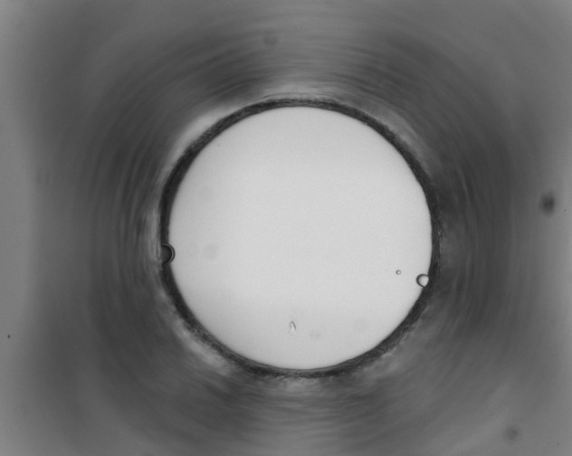 X0000100411030200807032033