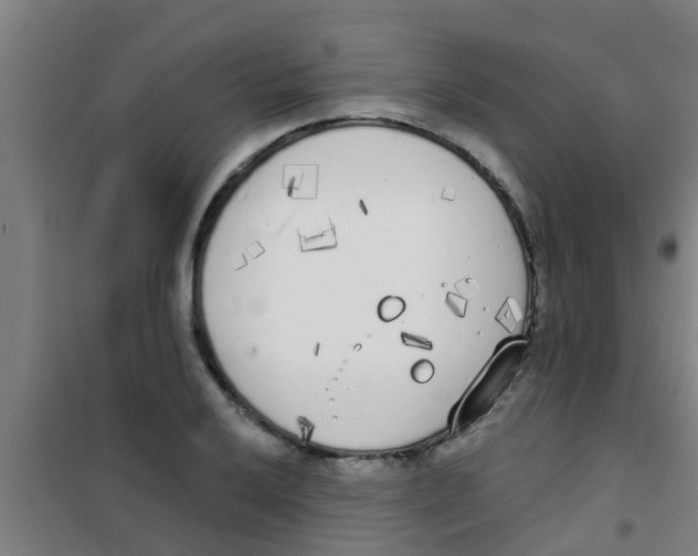 X0000100411032200807032033