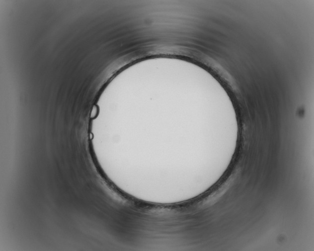 X0000100411033200807032033