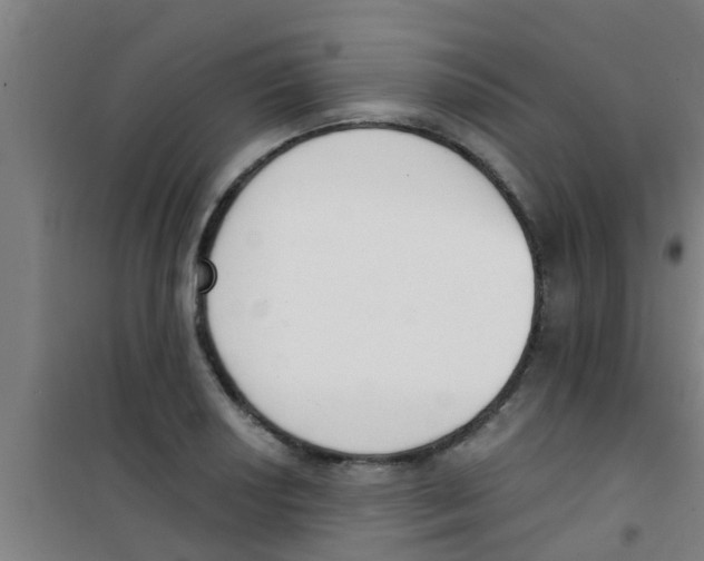 X0000100411034200807032033