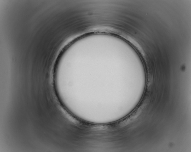 X0000100411037200807032033