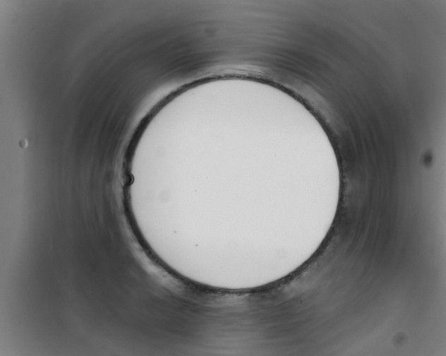 X0000100411038200807032033