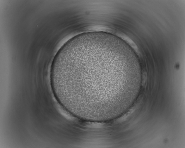 X0000100411039200807032033