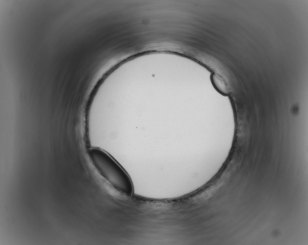 X0000100411040200807032033