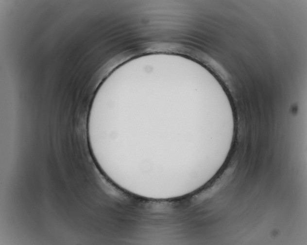 X0000100411041200807032033
