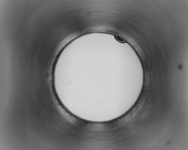 X0000100411042200807032033