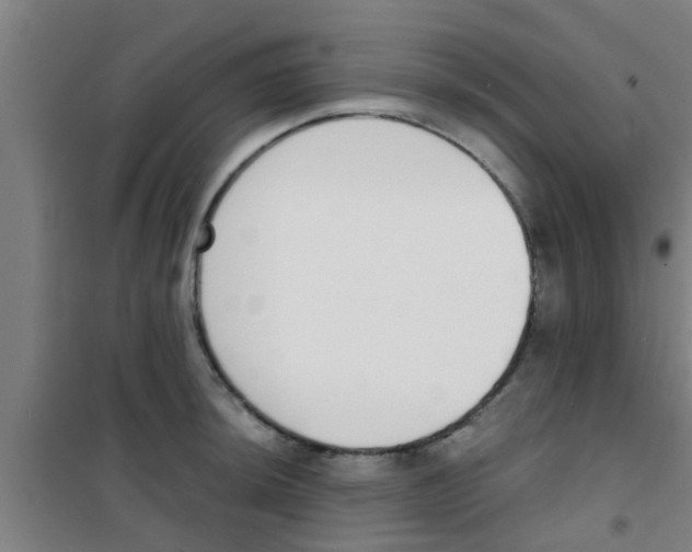 X0000100411044200807032033