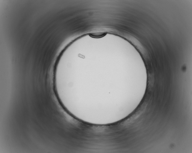 X0000100411046200807032033