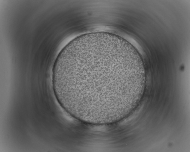 X0000100411047200807032033