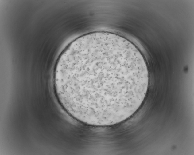X0000100411048200807032033