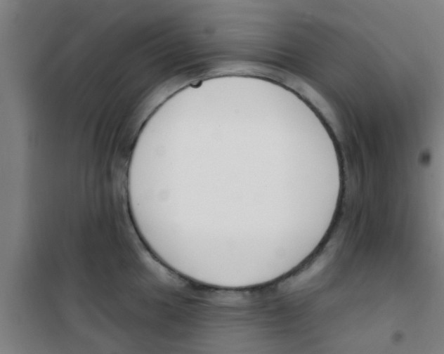 X0000100411049200807032033