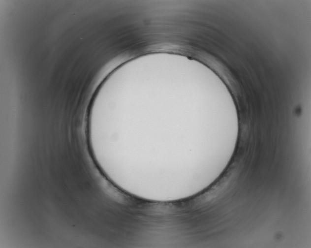 X0000100411050200807032033