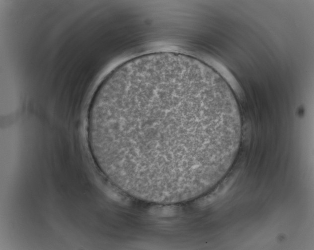 X0000100411051200807032033