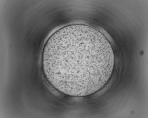 X0000100411052200807032033