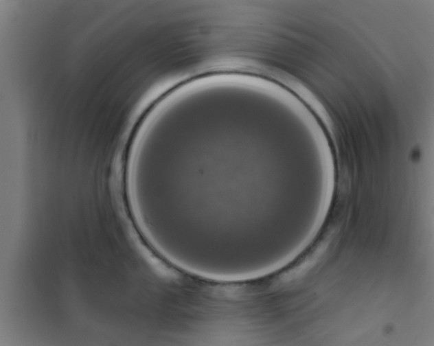 X0000100411053200807032033