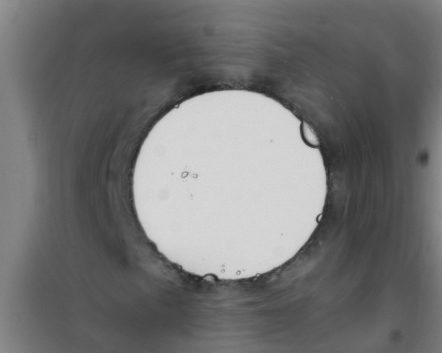 X0000100411057200807032032