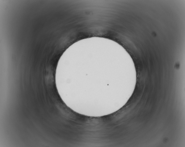 X0000100411058200807032032